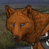 Wolf Headshot
