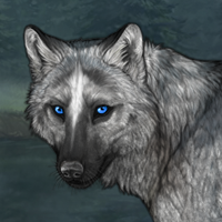 Wolf Headshot