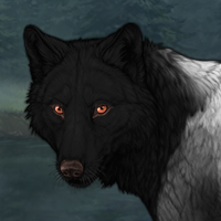 Wolf Headshot