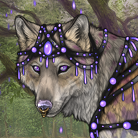 Dakoda Headshot