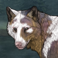 Cosmic - (Uneven Piebald) Headshot