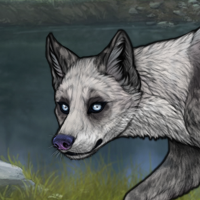 ((Pup))Clouded Dreams Headshot