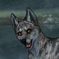 Nymeria M3 Headshot