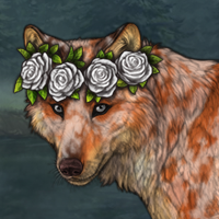 another merle foxy Headshot