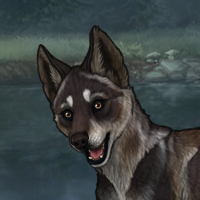 dh rnc Headshot
