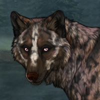 G3 Badger Bloodhound 👀 Headshot