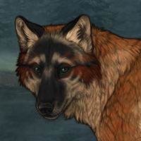 CoyoteHowl Headshot