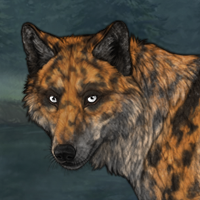 Tawny Hunter Headshot