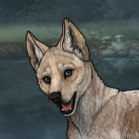 Sewfeeya Chaser/Pups Headshot