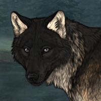 Wolf Headshot