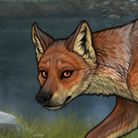 fox m Headshot