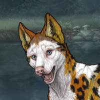 Piebald frontal Headshot