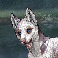 piebald: torn Headshot