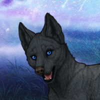 Nightpup Headshot