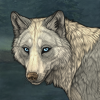 Rockpelt Headshot