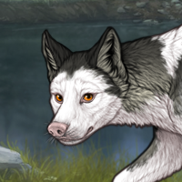 G3 piebald frontal Headshot