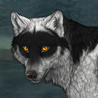 Wolf Headshot