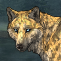 Leo Headshot