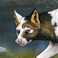 Piebald: Uneven Headshot