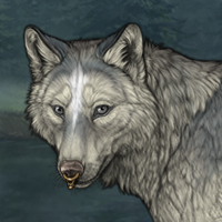 Wolf Headshot