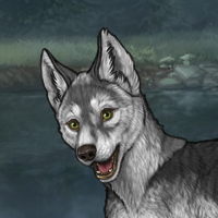 Grey Hound Headshot