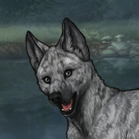 ((Pup))Fodder Headshot