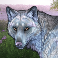 Iolena Headshot