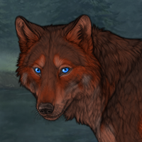 New Puppy spd agil Headshot