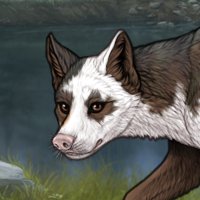 PIEBALD Headshot