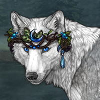 Wolf Headshot