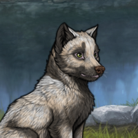 Ashen Puppy Headshot