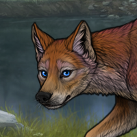 False Fox Headshot