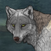 Wolf Headshot