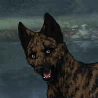 New PuppyHc Headshot