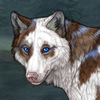 (Sale) Piebald: Torn Headshot