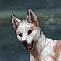 Enclave Puppy Headshot