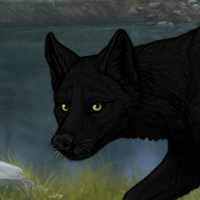 BlackPaw Headshot