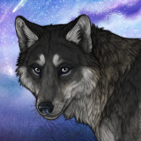 Velauni Headshot
