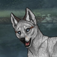 Husky chromium Evaea KEEP Headshot