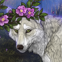 Wolf Headshot
