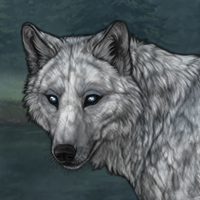 [C]Ashen 5M Blue Moon 272 Headshot