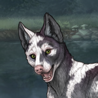 Male Piebald Headshot