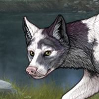 Male Piebald Headshot