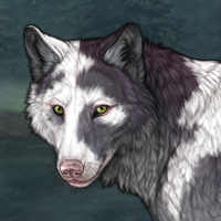 Male Piebald Headshot