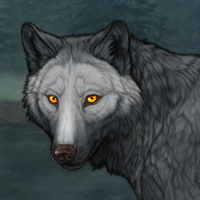 Wolf Headshot