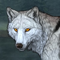 Wolf Headshot