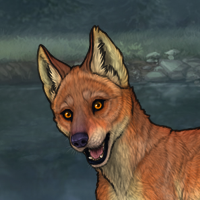 G3 Fox Male Headshot