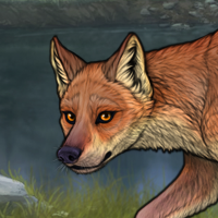 G3 Fox Male Headshot