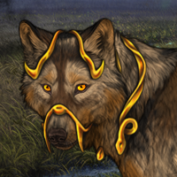 Wolf Headshot