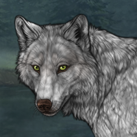 Wolf Headshot